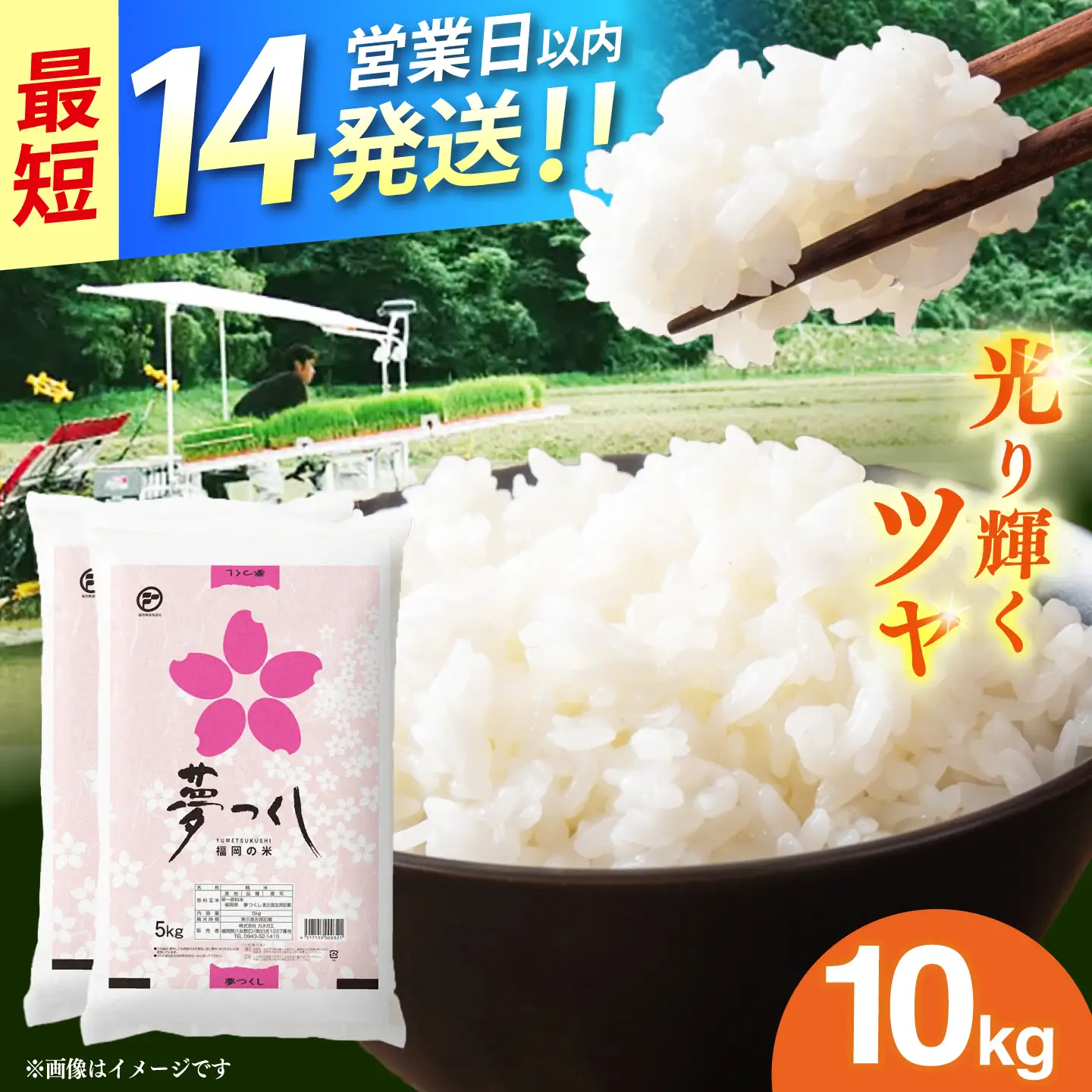 令和7年産　福岡県　夢つくし　10kg（5kg×2袋）《築上町》【カネガエ】[ABFA002]