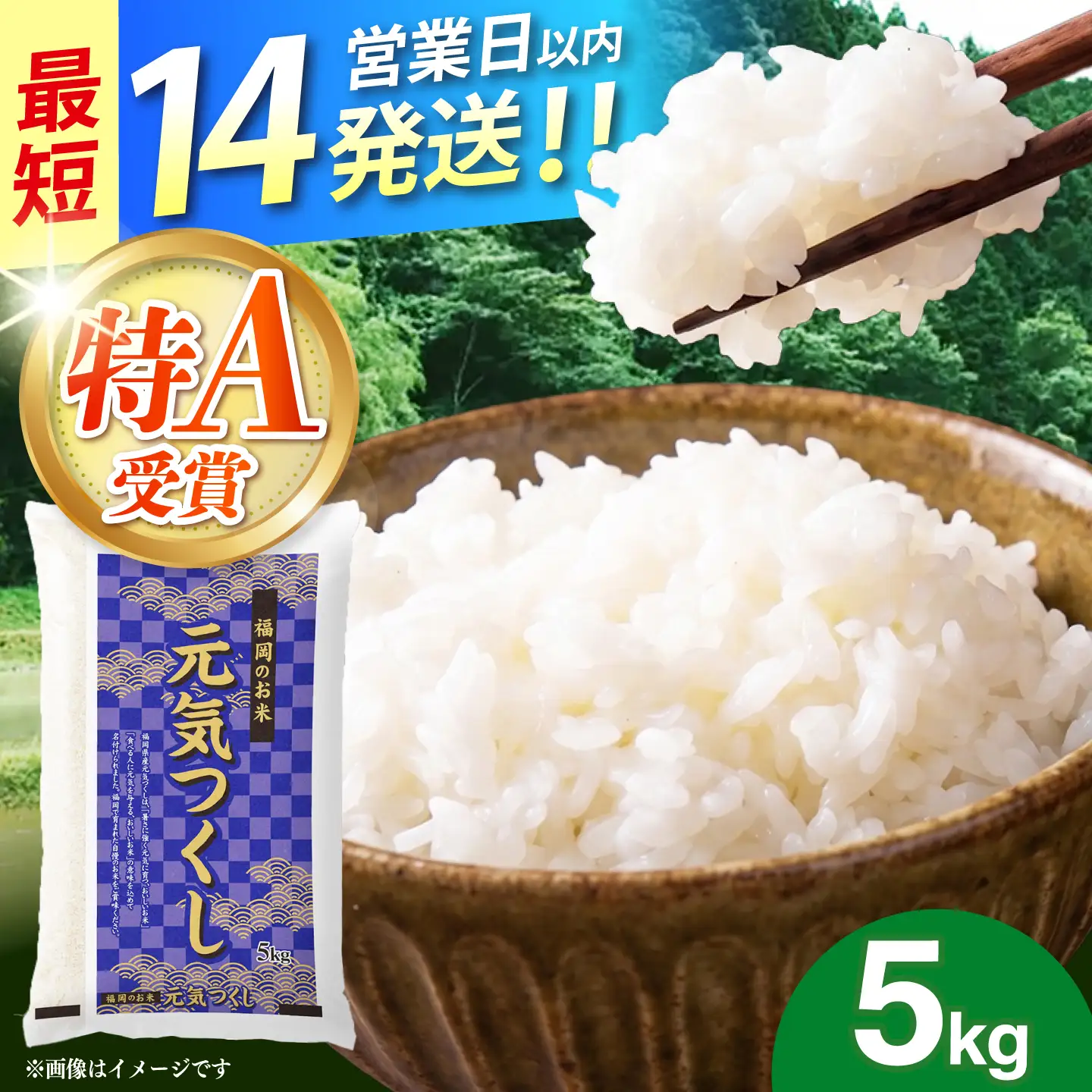 令和7年産　福岡県　元気つくし　5kg　《築上町》【カネガエ】[ABFA004]
