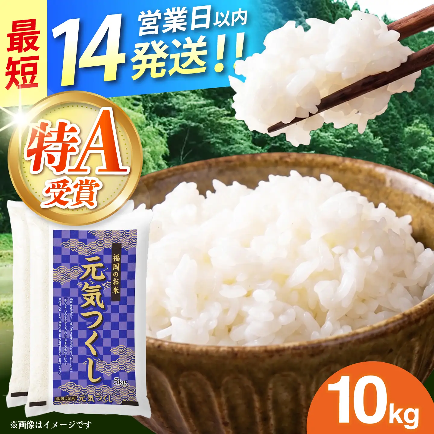 令和7年産　福岡県　元気つくし　10kg（5kg×2袋）《築上町》【カネガエ】[ABFA005]