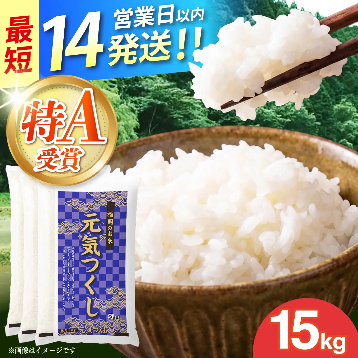 令和7年産　福岡県　元気つくし　15kg（5kg×3袋）《築上町》【カネガエ】[ABFA006]