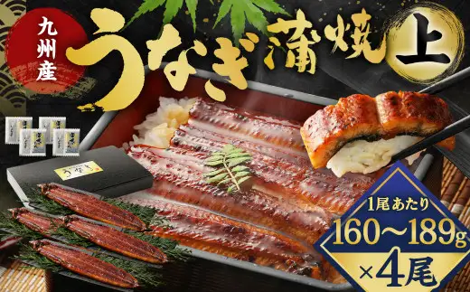 九州産 うなぎ 蒲焼 上 4尾 (1尾あたり160～189g)【2026年8月発送】