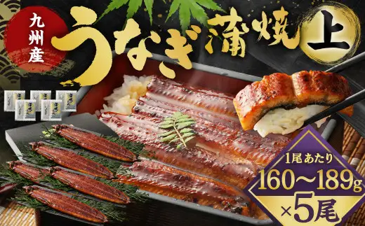 九州産 うなぎ 蒲焼 上 5尾 (1尾あたり160～189g)【2026年8月発送】