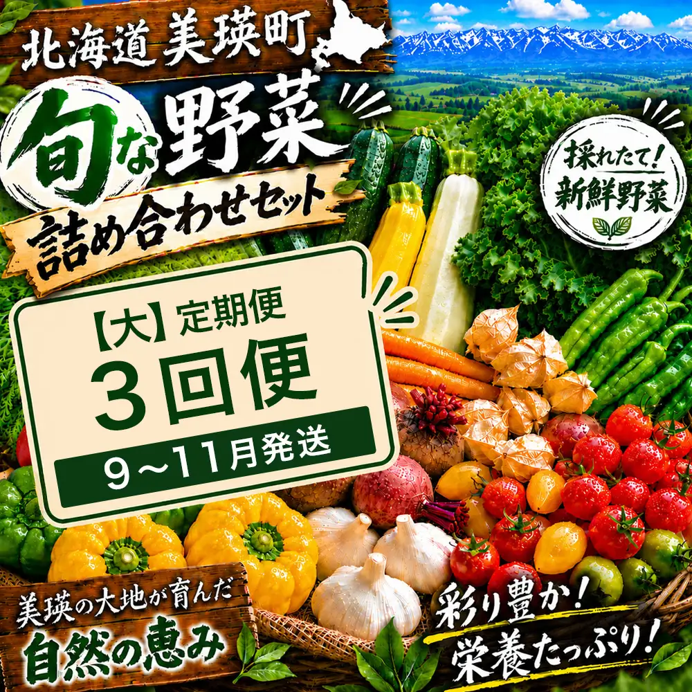 季節の野菜セット【大】定期便 3回便 9月 10月 11月発送 旬野菜 詰め合わせ あらいふぁーむ