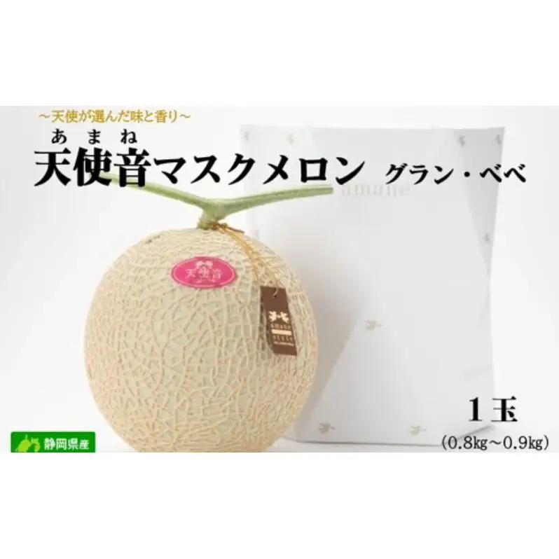 天使音（あまね）マスクメロン グラン・ベベ 1玉（0.8kg～0.9kg）化粧箱入り 高級 フルーツ 果物 メロン 静岡 浜松市【配送不可：離島】
