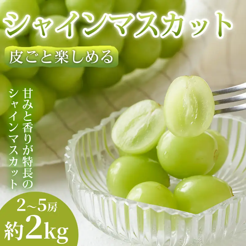 シャインマスカット 熊本県産 皮ごと ぶどう シャインマスカット【2〜5房 約2kg】