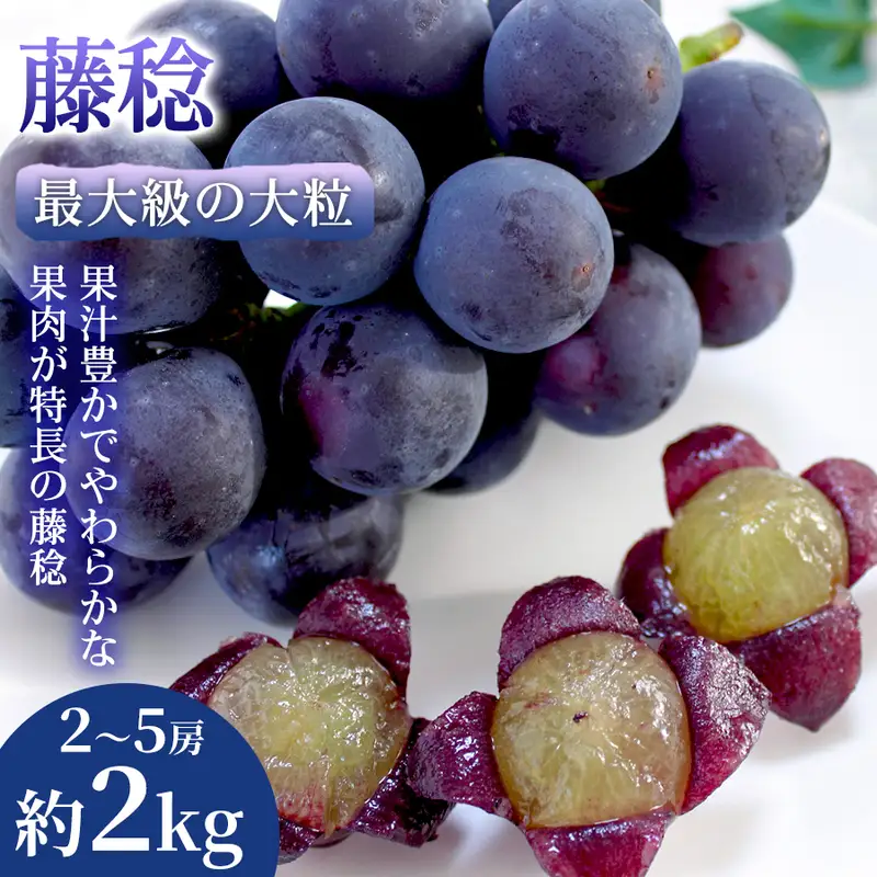 藤稔 ぶどう 熊本県産 大粒 黒ぶどう 藤稔【2〜5房 約2kg】
