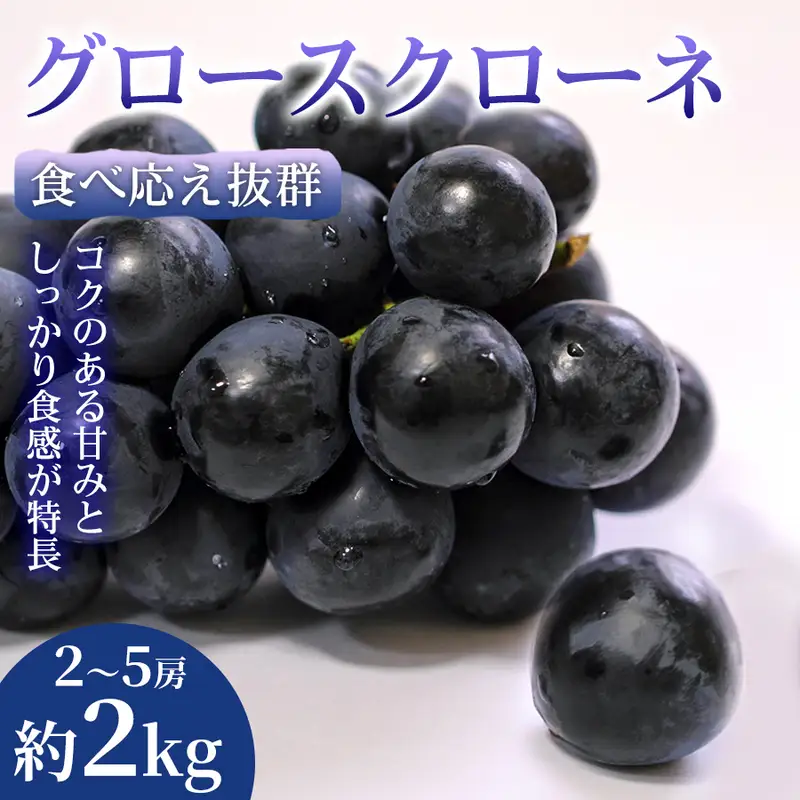グロースクローネ ぶどう 熊本県産 大粒 グロースクローネ【2〜5房 約2kg】