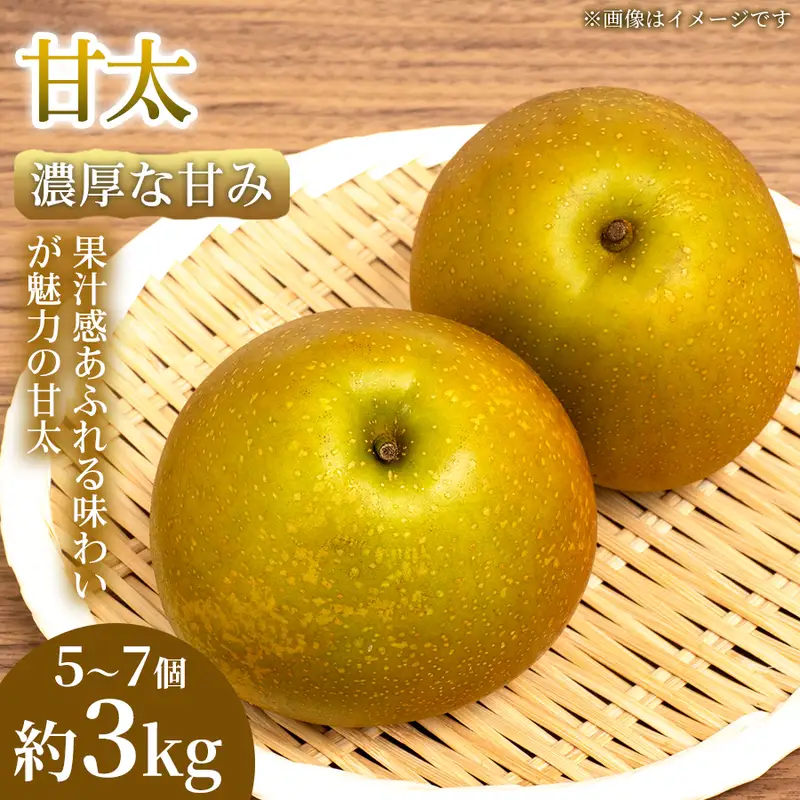 梨 甘太 熊本県産 フルーツ 梨【5〜7個 約3kg】