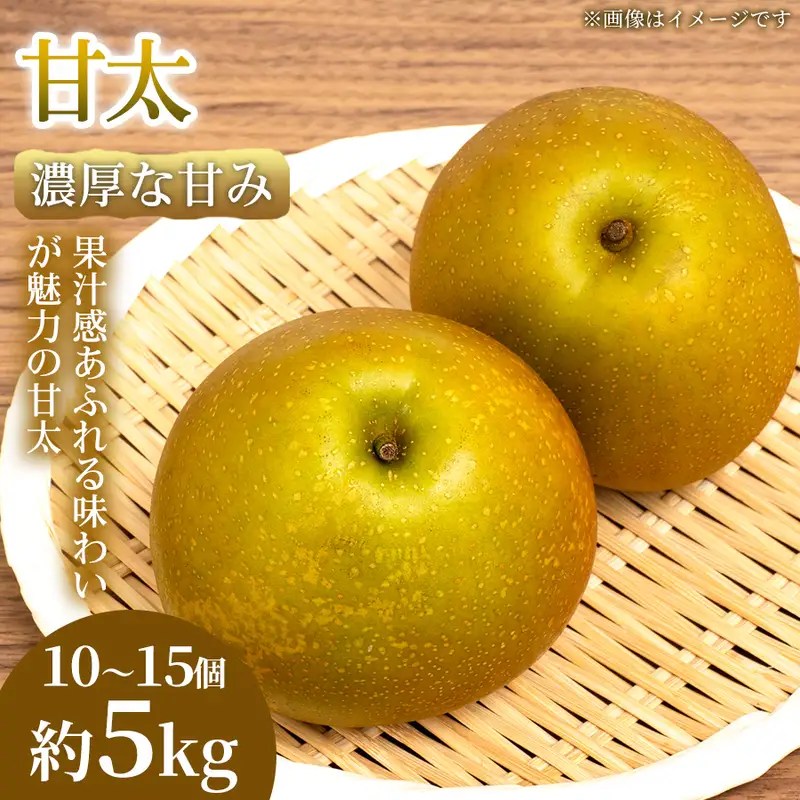 梨 甘太 熊本県産 フルーツ 梨【10〜15個 約5kg】
