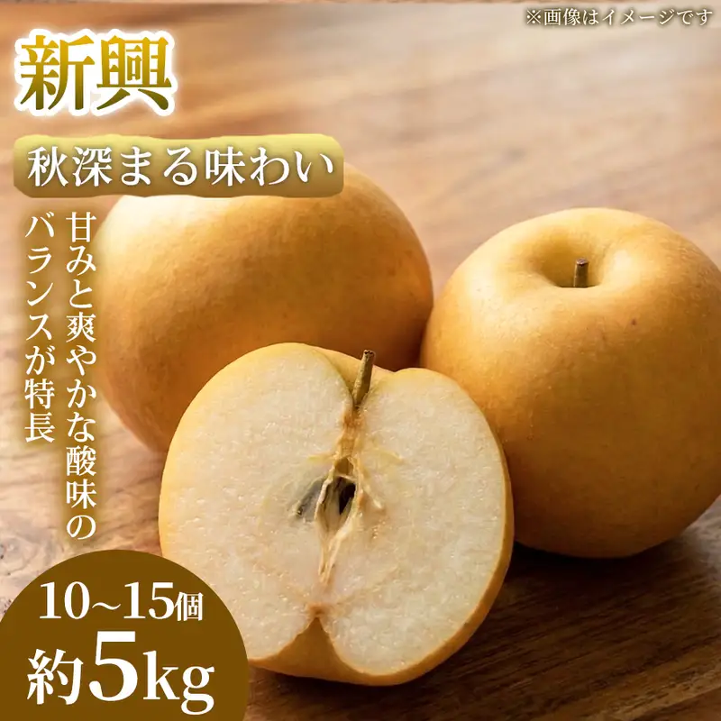 梨 新興 熊本県産 フルーツ 梨【10〜15個 約5kg】