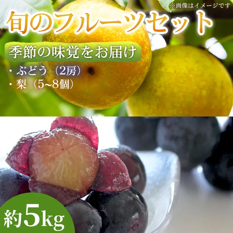 フルーツ詰合せ ぶどう 梨 熊本県産 フルーツ詰合せ【ぶどう2房 梨5〜8個 約5kg】