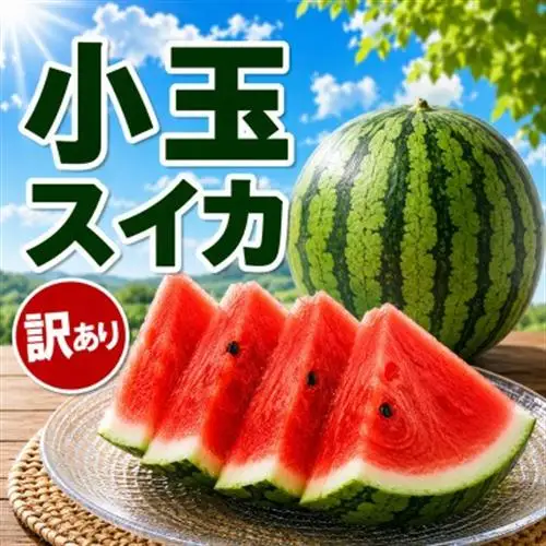 【訳あり】 小玉スイカ　1玉(益城町)【配送不可地域：離島】【1736970】