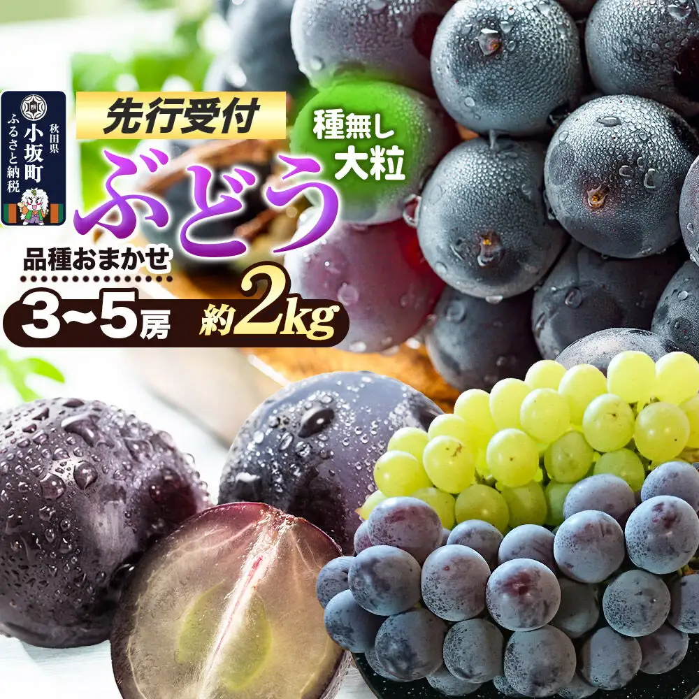 《先行受付》小坂産 ぶどう 種無し大粒・品種おまかせ 3～5房 セット（約2kg）