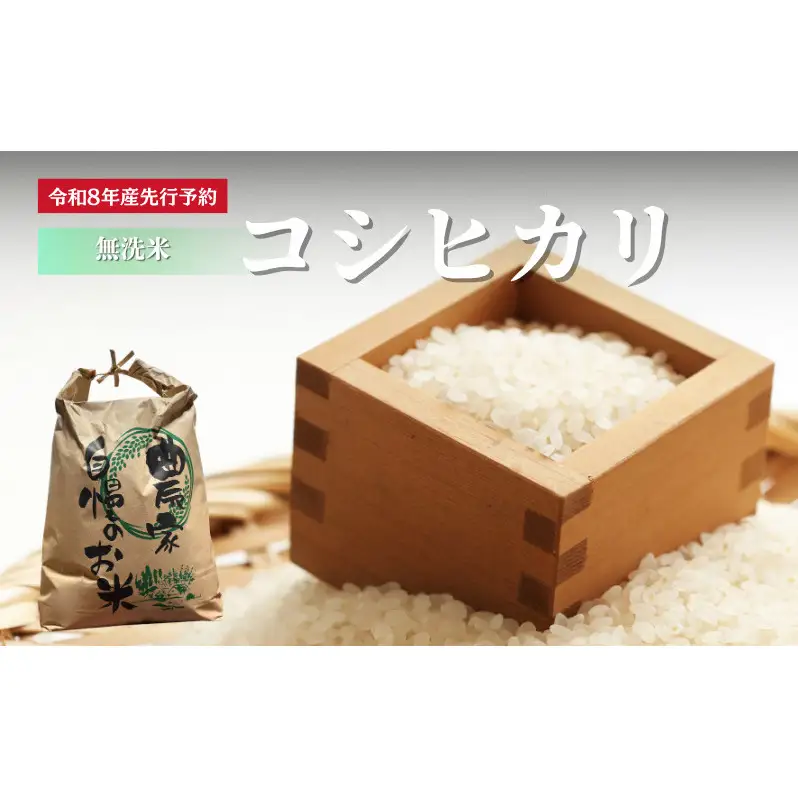 【先行予約】無洗米令和8年産 コシヒカリ 5kg 【 お米 米 コメ 精米 南丹市 】 新米26