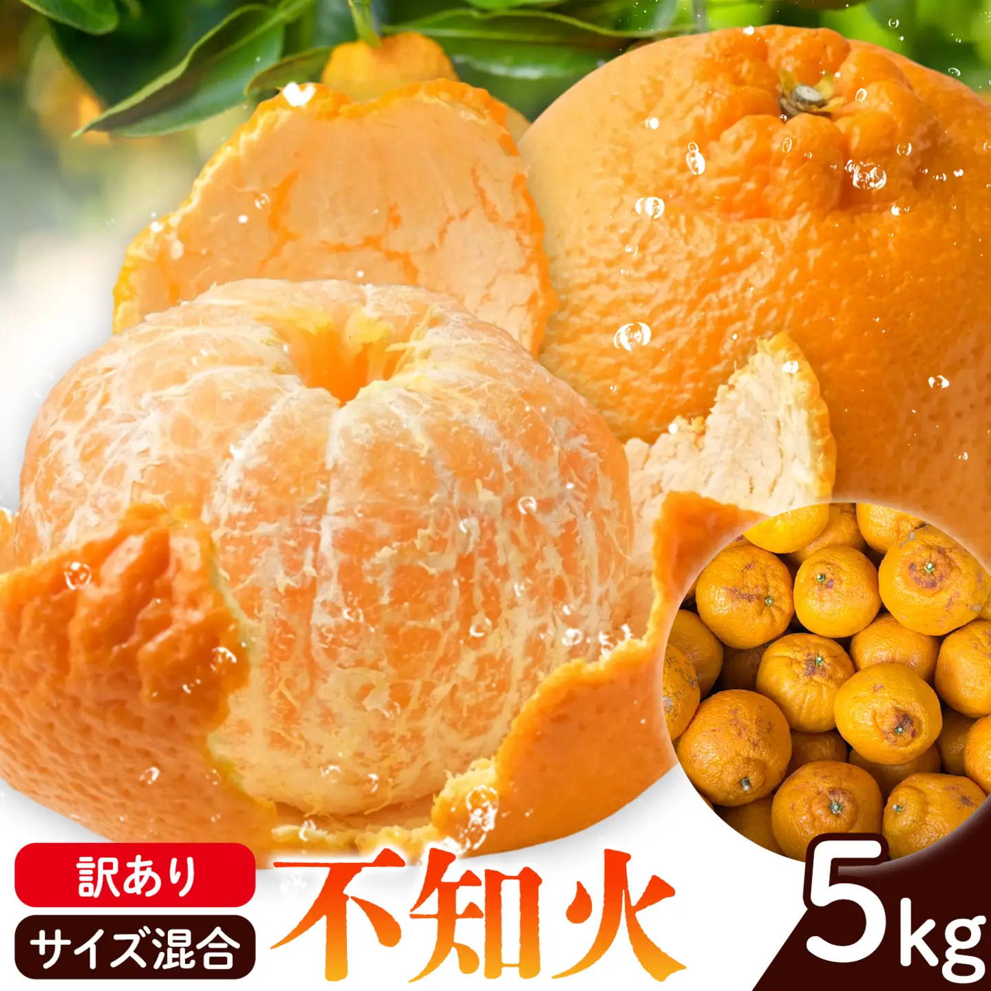 訳あり 不知火 サイズ混合 5kg エイワ商店