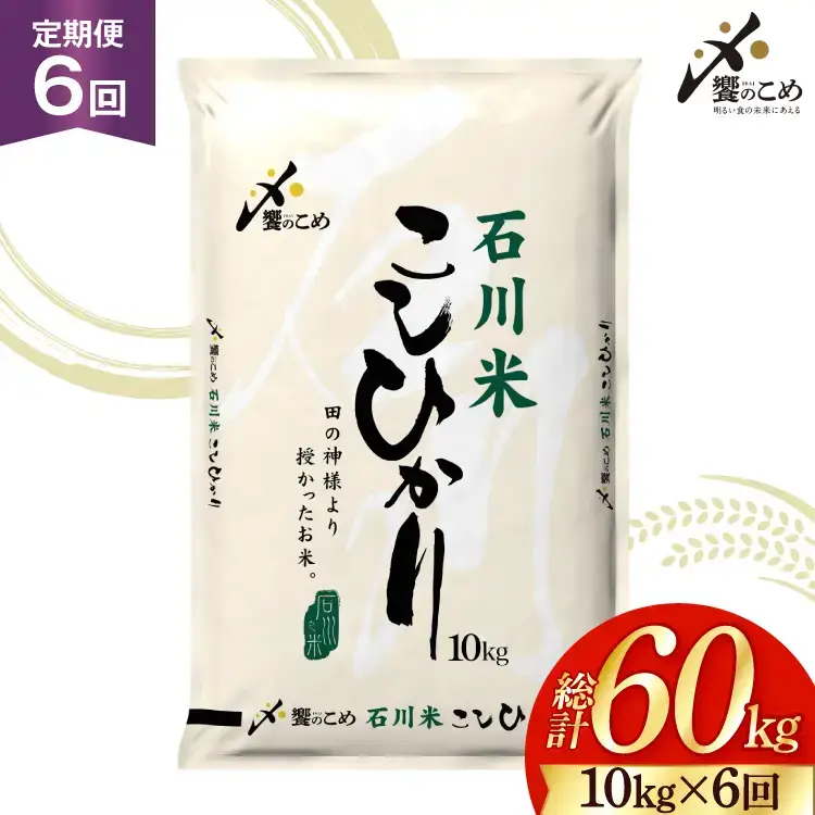 【定期便 6回】 石川米 こしひかり 米 10kg