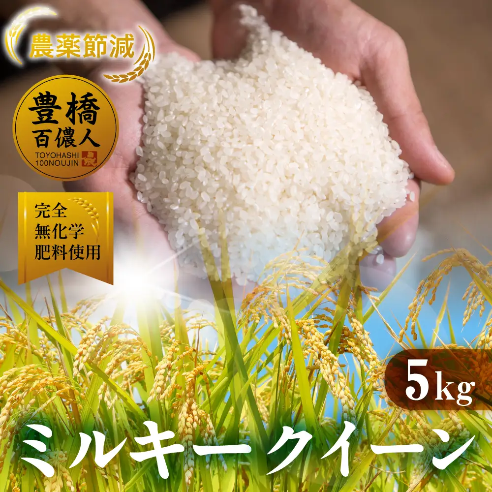 令和7年産 ミルキークイーン 5kg 定期便 12回 白米 ブランド米 ミルキー ﾐﾙｷｰｸｲｰﾝ お米 こめ 米 ※ コメ ご飯 生活必需品 日用品 定期 定期配送 人気 美味しい 取り寄せ 5キロ  12か月 送料無料 愛知県 豊橋市