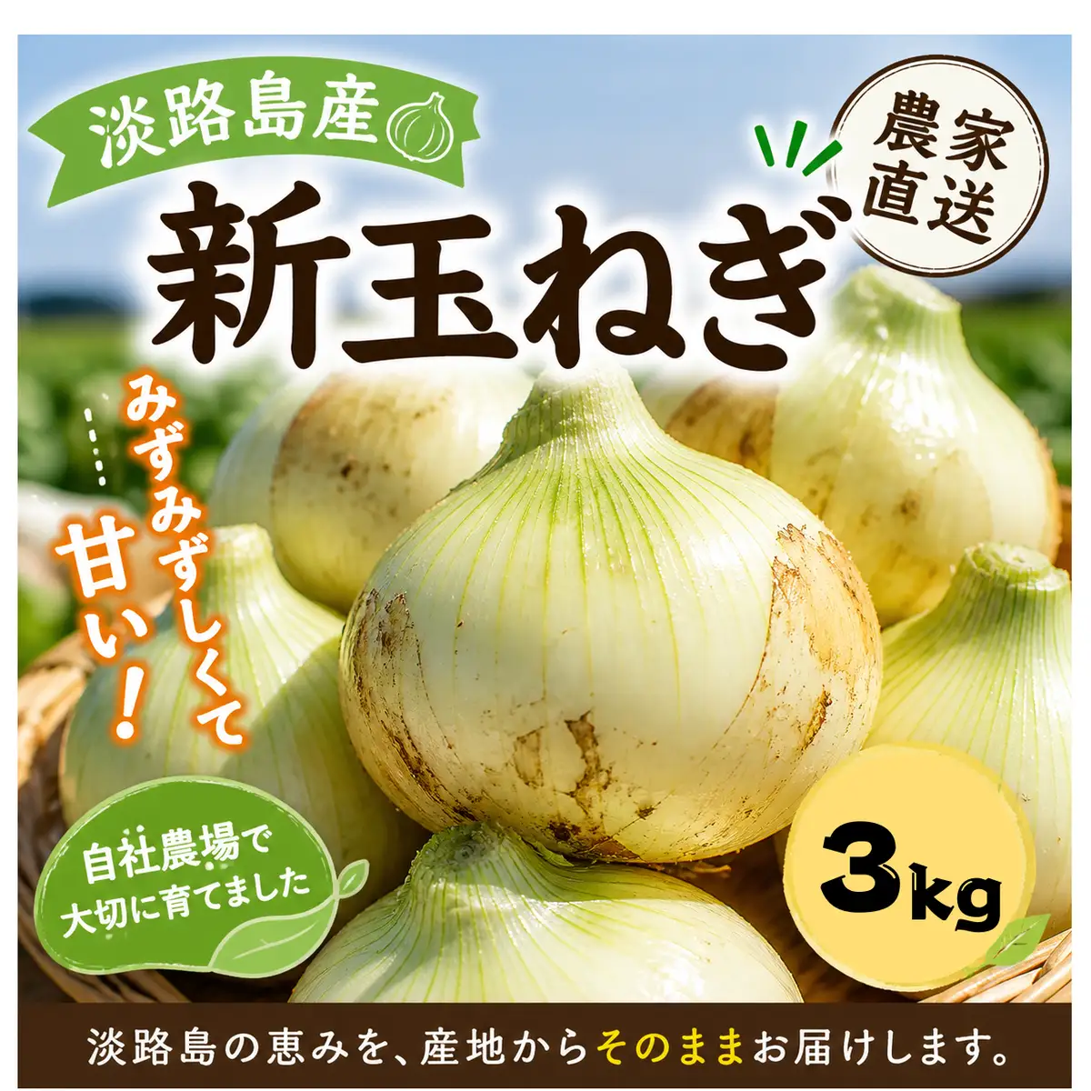 淡路島産新玉ねぎ　3kg 兵庫県 洲本市 淡路島