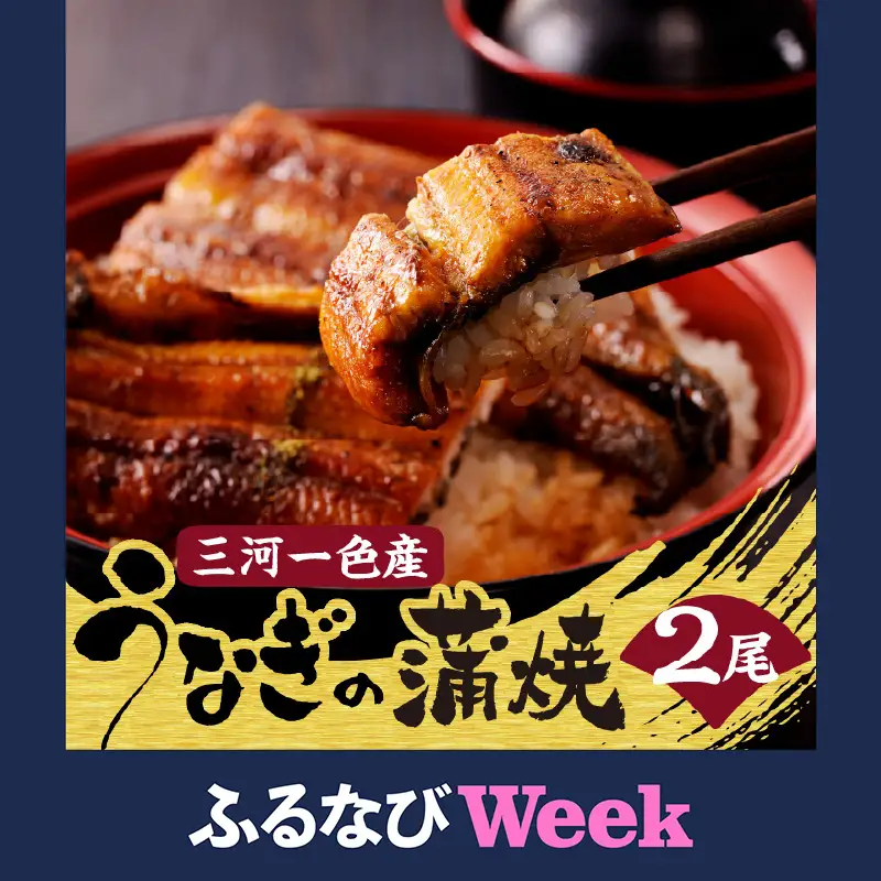【ふるなびWEEK対象】三河一色産うなぎの蒲焼２尾_47-318-1-f