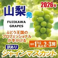 《訳あり》でも誇れる美味しさ 【シャインマスカット】 1.0kg以上（２～3房） 【2026年発送分 先行予約】- FUJIKAWA GRAPES -　 嬉しい満足感