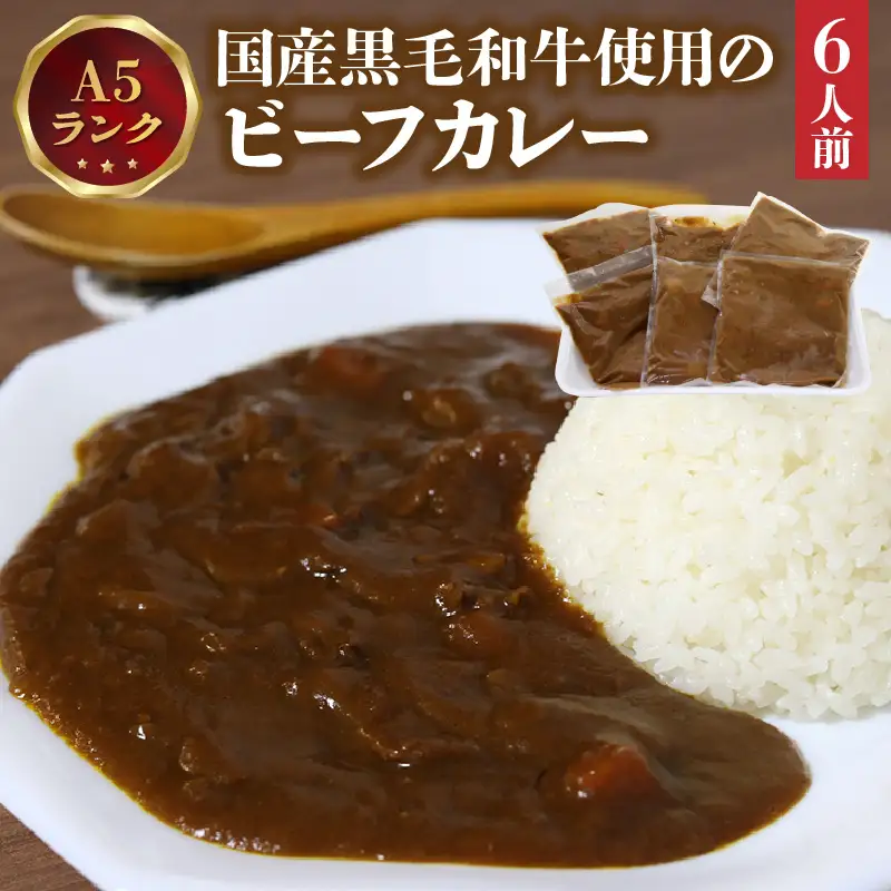 A5ランク国産黒毛和牛使用のビーフカレー（6人前）_19-174-1