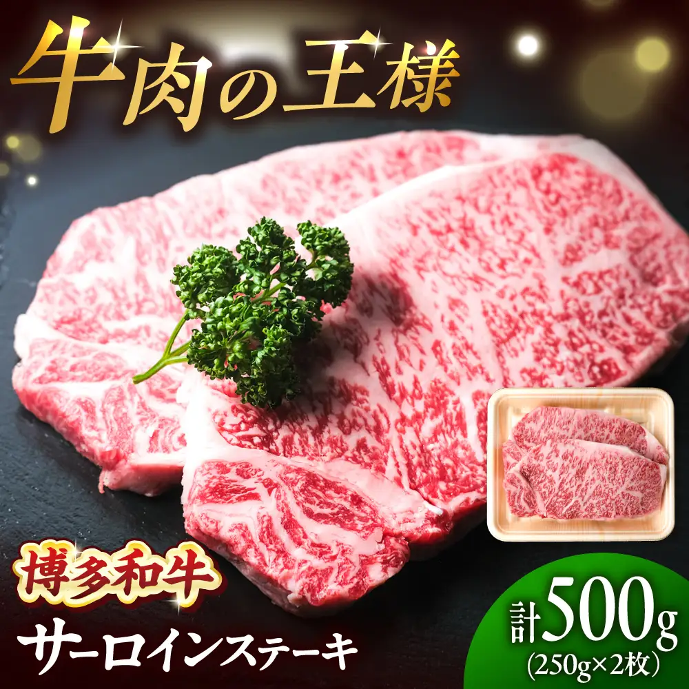 博多和牛 牛肉 サーロイン ステーキ 250g×2枚 （計500g）[BGBY027] さーろいんステーキ