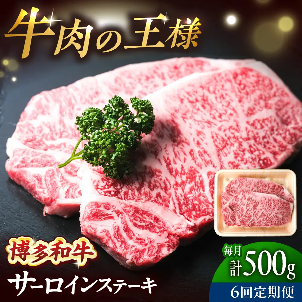 【全6回定期便】博多和牛 牛肉 サーロイン ステーキ 500g（250g×2）[BGBY075] サーロイン 定期 国産