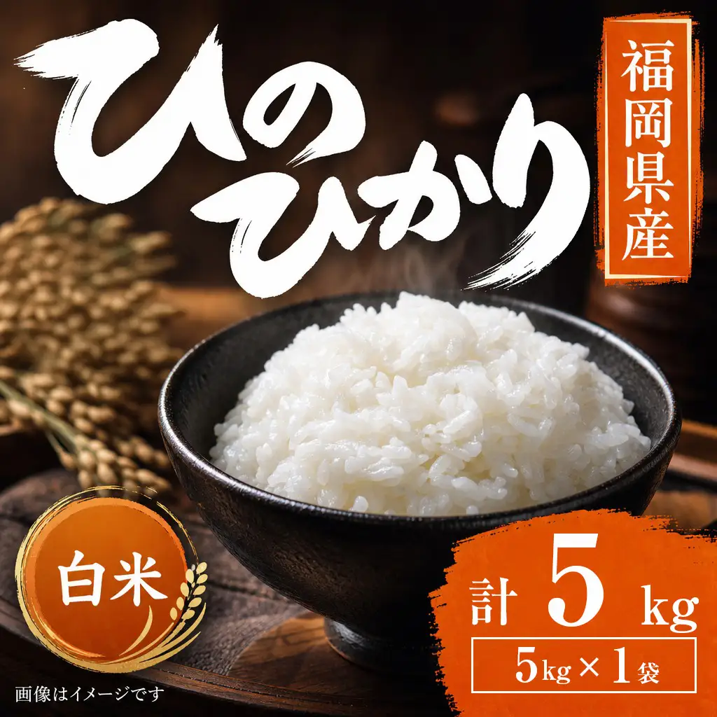 【令和7年産】 福岡県 大木町産 ヒノヒカリ 5kg　BC01-1