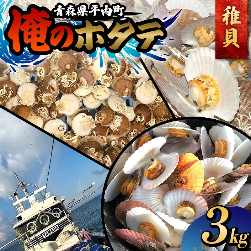 ≪期間限定≫ 「俺のホタテ」 極上 稚貝 3kg （90〜150枚） F21J-299