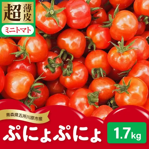 ミニトマト 超薄皮約1.7kg【2026先行受付】7～9月ミニトマト