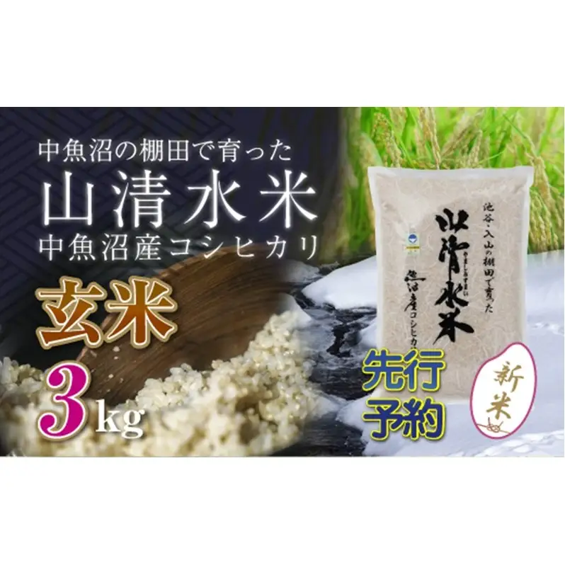 【令和8年産 先行予約】新潟県魚沼産コシヒカリ「山清水米」玄米3kg