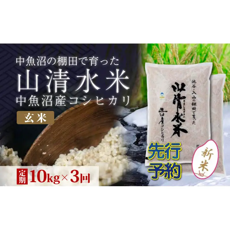 【令和8年産 先行予約】【定期便／全3回】玄米10kg 新潟県魚沼産コシヒカリ「山清水米」