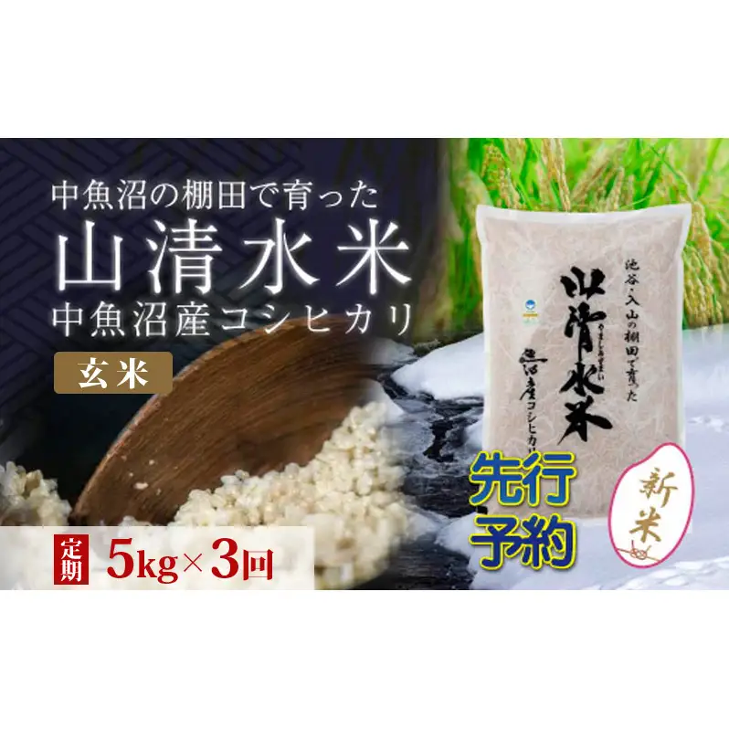 【令和8年産 先行予約】【定期便／全3回】玄米5kg 新潟県魚沼産コシヒカリ「山清水米」