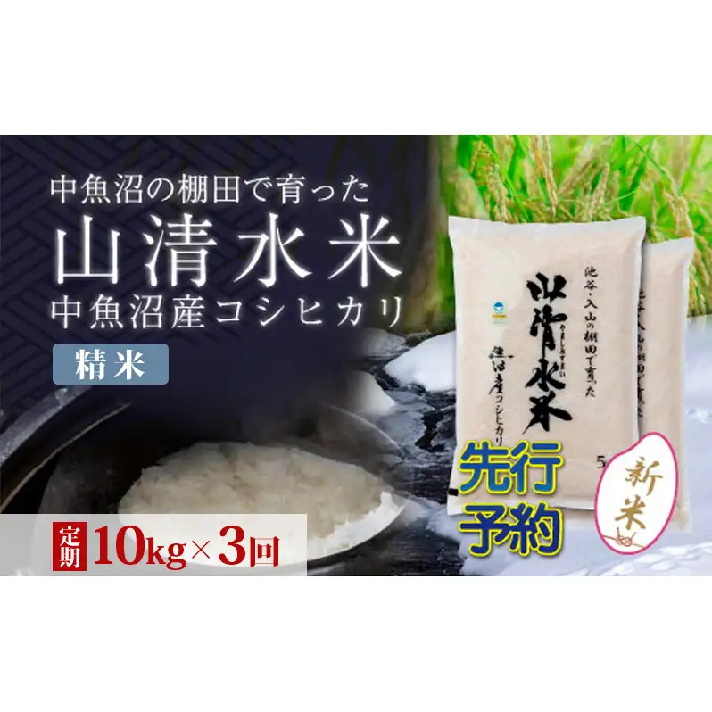 【令和8年産 先行予約】【定期便／全3回】精米10kg 新潟県魚沼産コシヒカリ「山清水米」