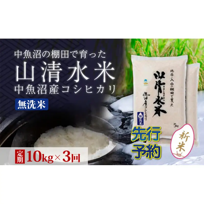 【令和8年産 先行予約】【定期便／全3回】無洗米10kg 新潟県魚沼産コシヒカリ「山清水米」