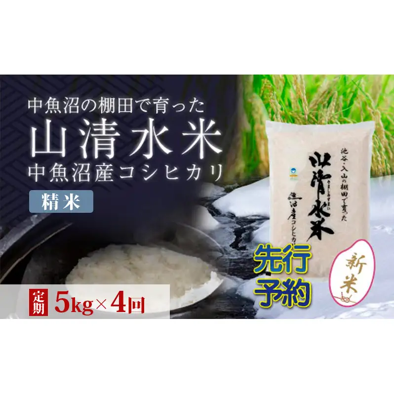 【令和8年産 先行予約】【定期便／全4回】精米5kg 新潟県魚沼産コシヒカリ「山清水米」