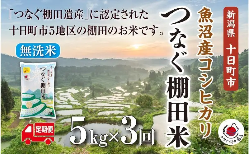 【令和8年産 先行予約】【定期便／全3回】無洗米5kg　新潟県十日町市魚沼産コシヒカリ「つなぐ棚田米」 米 こしひかり 無洗米 定期 十日町市