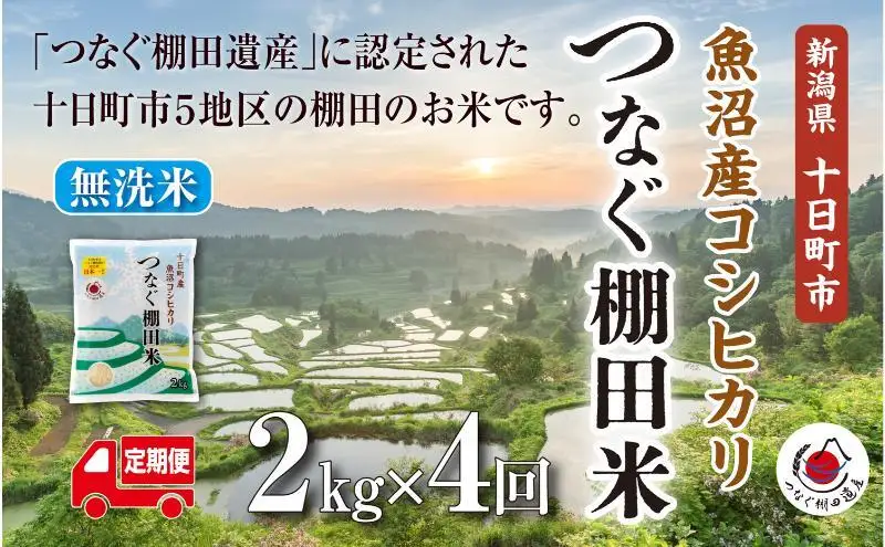 【令和8年産 先行予約】【定期便／全4回】無洗米2kg　新潟県十日町市魚沼産コシヒカリ「つなぐ棚田米」 米 こしひかり 無洗米 定期 十日町市