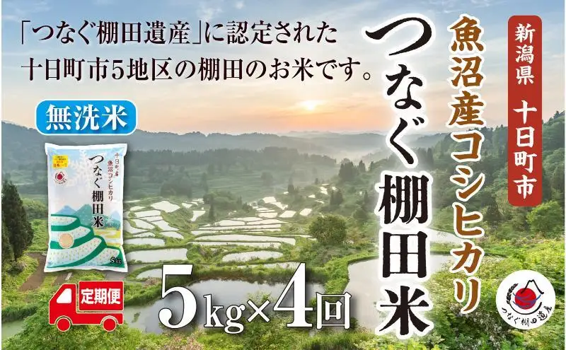 【令和8年産 先行予約】【定期便／全4回】無洗米5kg　新潟県十日町市魚沼産コシヒカリ「つなぐ棚田米」  米 こしひかり 無洗米 定期 十日町市