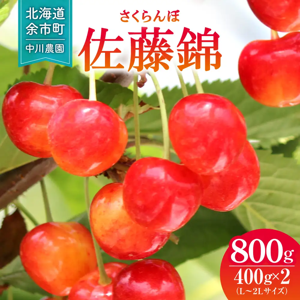 2027年発送【先行予約】令和9年産 さくらんぼ 佐藤錦【L～2Lサイズ】400g×2 【合同会社中川農園】_Y141-0004