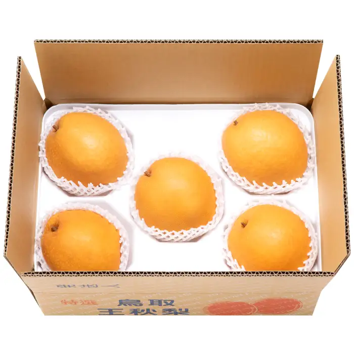 【期間限定】たにがみ農園の王秋 2.5キロ箱　(鳥取県産)
