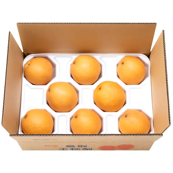【期間限定】たにがみ農園の王秋 5キロ箱　(鳥取県産)