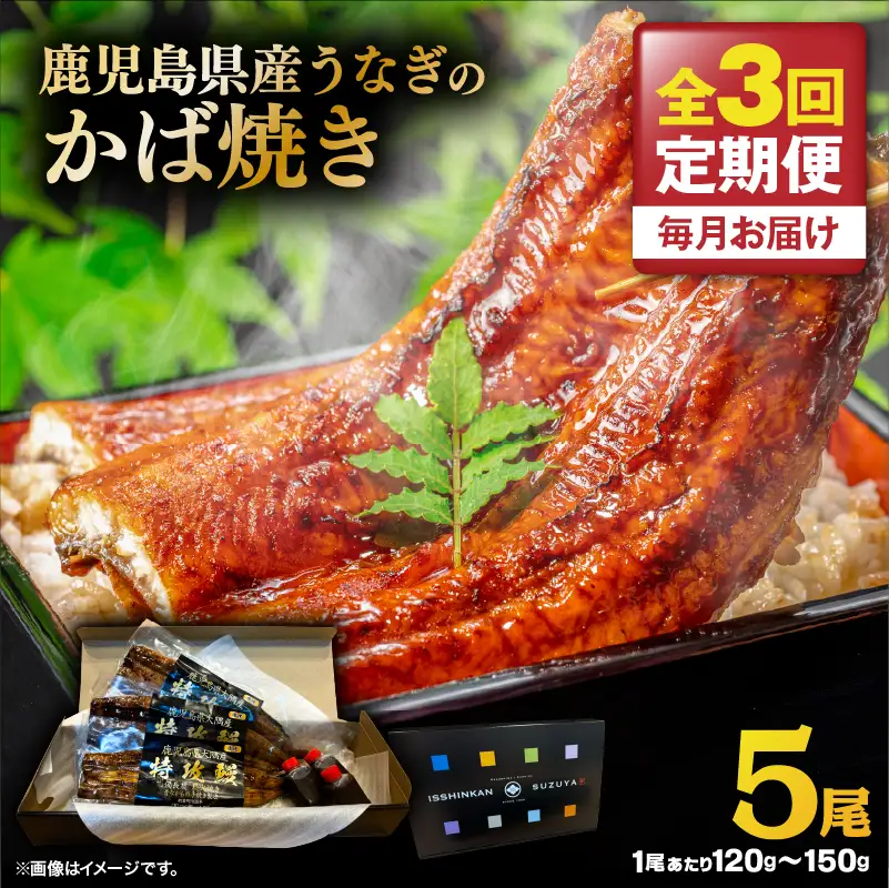 【 全3回 定期便 】 鹿児島県産 うなぎ の かば焼き 5尾 KN174-T05 定期 ウナギ 鰻 蒲焼き 冷凍