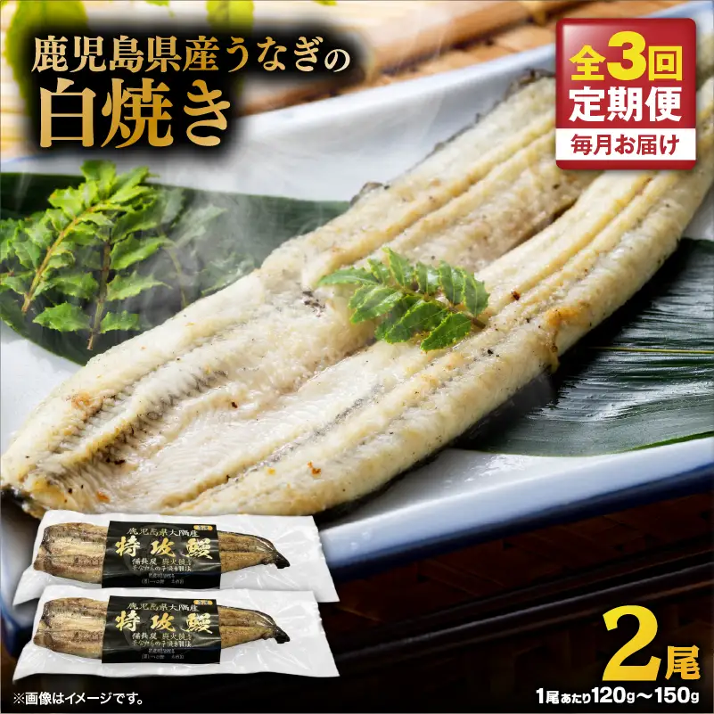 【 全3回 定期便 】 鹿児島県産 うなぎ の 白焼き 2尾 KN174-T07 定期 ウナギ 鰻 冷凍