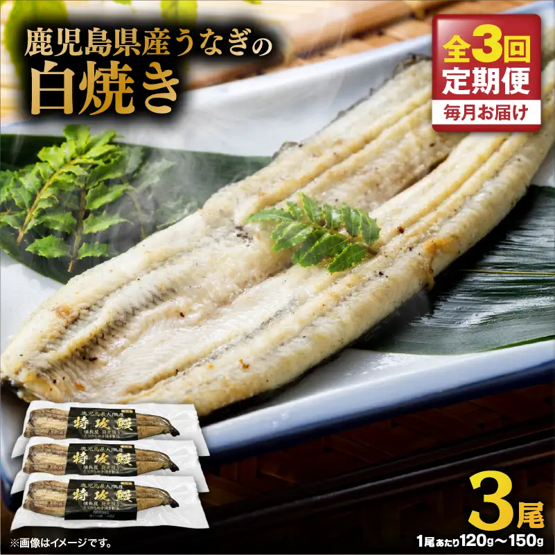 【 全3回 定期便 】 鹿児島県産 うなぎ の 白焼き 3尾 KN174-T08 定期 ウナギ 鰻 冷凍