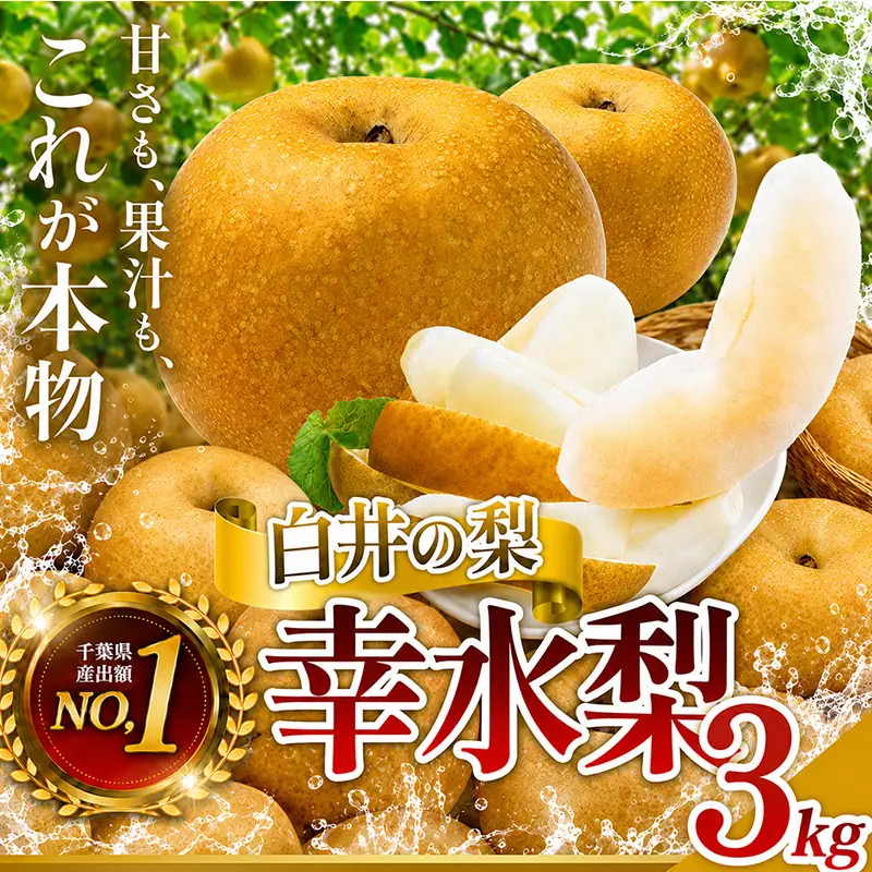 幸水3kg 家庭用