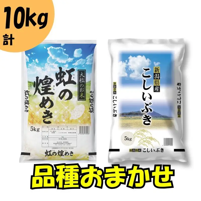 【8月上旬配送】 新潟県産 品種おまかせ 10kg 新潟県 新潟市産 令和7年産 お米 精米 米 ご飯 送料無料
