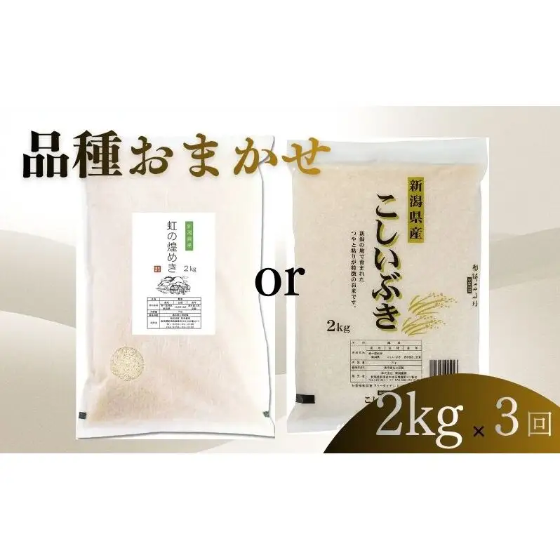 【8月上旬より配送】 新潟県産 品種おまかせ 2kg  3か月定期便 新潟県 新潟市産 令和7年産 お米 精米 米 ご飯 送料無料