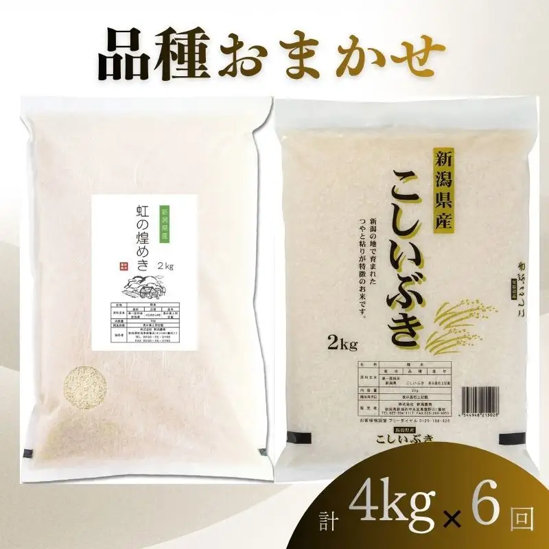 【8月上旬より配送】 新潟県産 品種おまかせ 4kg  6か月定期便 新潟県 新潟市産 令和7年産 お米 精米 米 ご飯 送料無料