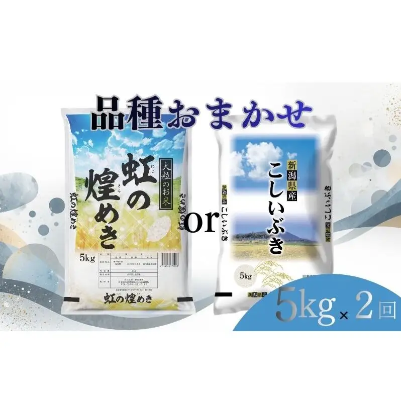 【8月上旬より配送】 新潟県産 品種おまかせ 5kg  2か月定期便 新潟県 新潟市産 令和7年産 お米 精米 米 ご飯 送料無料